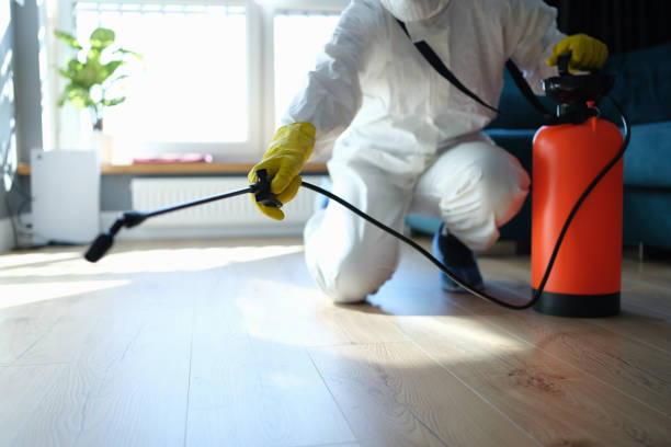 Reliable Odor Removal contractor in Mount Airy, NC by Trauma Clean Pros